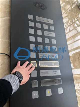 按钮